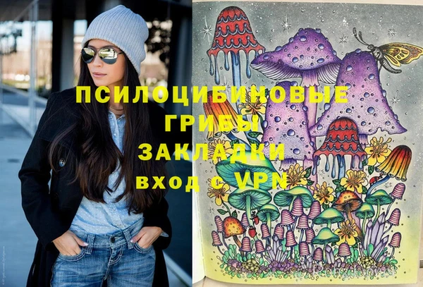 Альфа ПВП Алексин