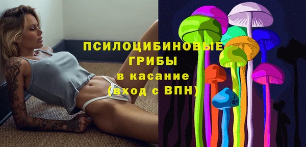 бошки Абдулино