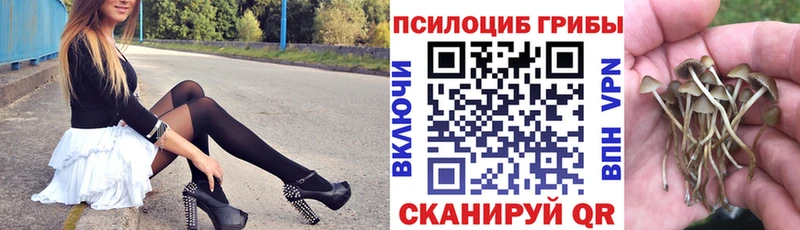 shop официальный сайт  Зерноград  Галлюциногенные грибы Magic Shrooms 